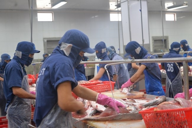 US anti-dumping duty review on Vietnamese tra fish indicates positive results